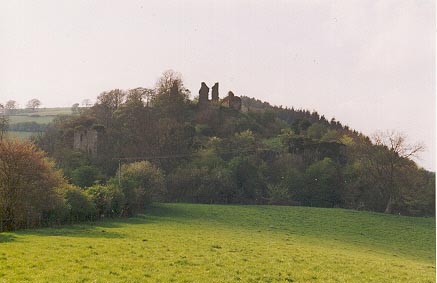 Aspect of the Castle from the outer bailey